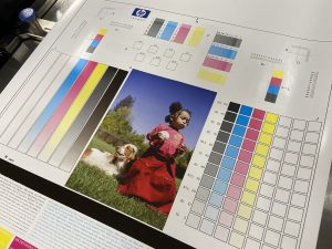 HP Indigo 6k Color Curve Test