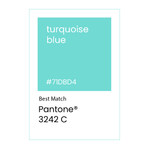 Pantone 3242 C Turquoise Blue Labels