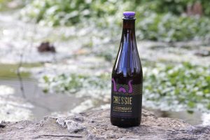 Union Craft Brewery Chessie Bottle